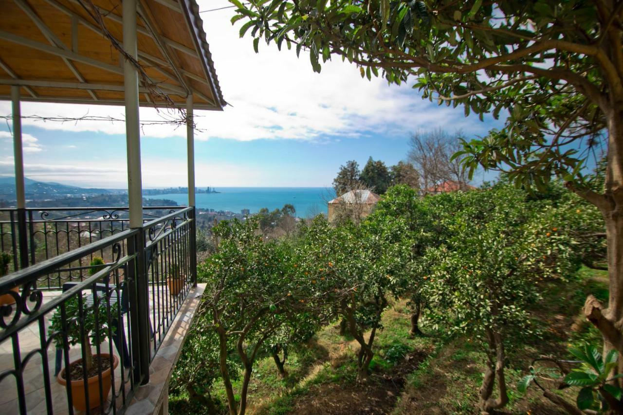Guesthouse Mtsvane Koncxi 22 Mtsvane Konts'khi Extérieur photo